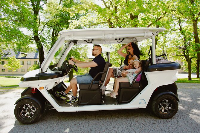 Stockholm Highlights: Private Golf Cart Tour - Fjällgatan and street art: a quick splash of modern Stockholm