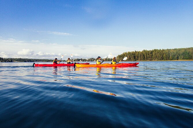 Stockholm: Kayaking tour around Vaxholm Archipelago with Fika - Gear and instruction: what you actually get to feel confident