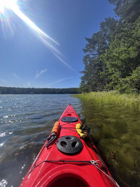 Stockholm: Morning Kayak Tour in the Archipelago with Lunch - Fika on the way back: coffee and cake, Swedish style