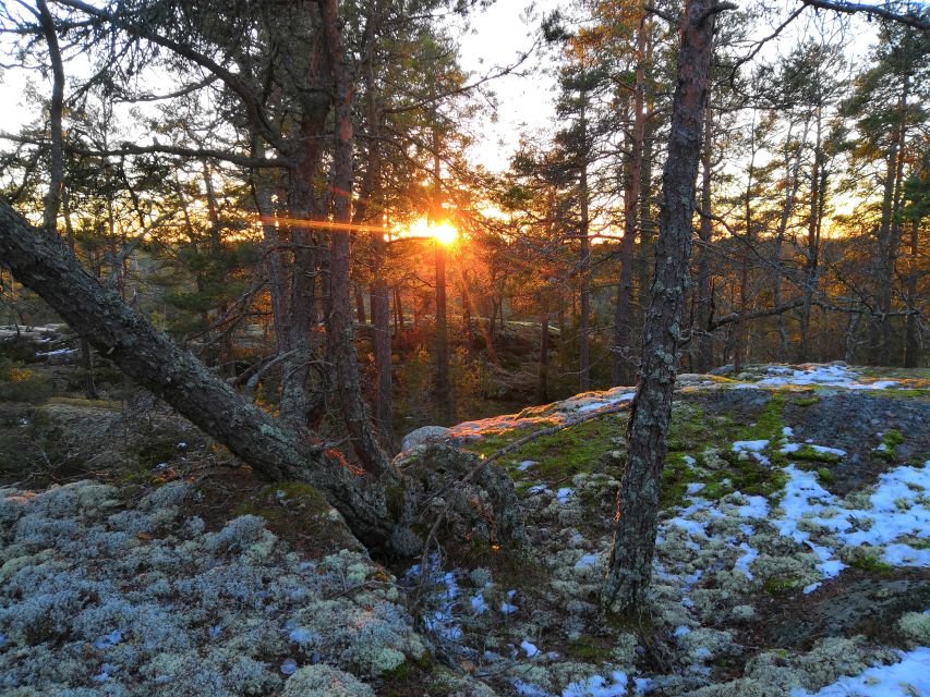 Stockholm: Nature Hike with Campfire Lunch - Torch lamps, slippery snow, and how timing affects your hike