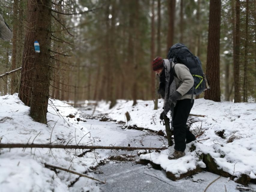 Stockholm: Nature Hike with Campfire Lunch - Getting to the nature reserve: the short drive that changes everything