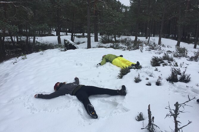 Stockholm: Nature Reserve Hiking Tour with Campfire Lunch - Key things I’d plan around
