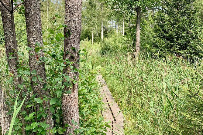 Stockholm: Nature Reserve Hiking Tour with Campfire Lunch - What you’ll see on the trail: lakes, granite cliffs, and winter lake life