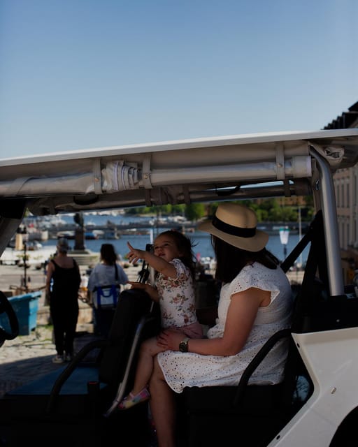 Stockholm Private Golf Cart Tours - Djurgården on the Longer Option: Vasa, ABBA, Skansen, and the Museum Island Mix