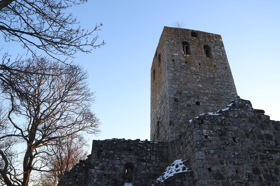 Stockholm: Sigtuna and Uppsala Viking History Day Tour - Setting the Tone: A Viking Sweden Day Trip (Not Just Sagas)