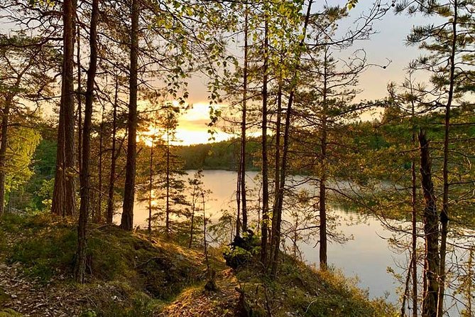 Stockholm: Sunset Hike in Tyresta National Park with Meal - Why Tyresta After Dusk Feels Like a Different Sweden