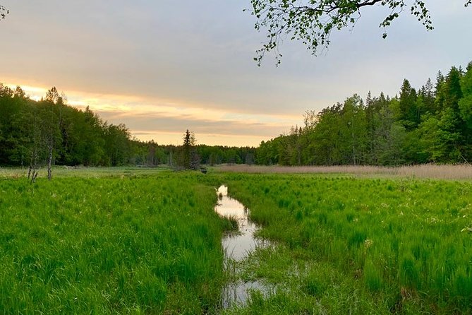 Stockholm: Sunset Hike in Tyresta National Park with Meal - Getting There: The Easy Bus Ride and the Meeting Point You Should Find First