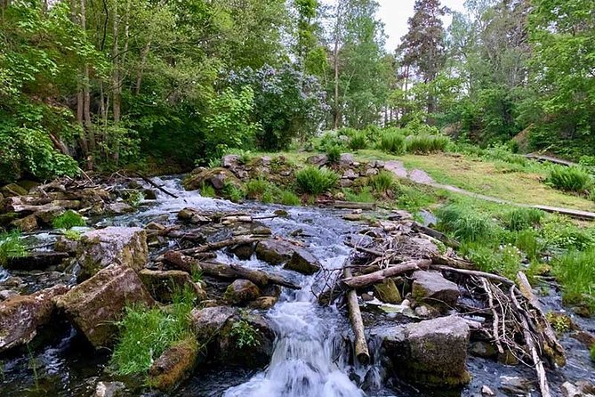 Stockholm: Sunset Hike in Tyresta National Park with Meal - Packing Tips That Actually Matter in Tyresta