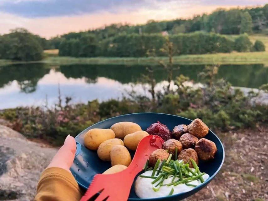 Stockholm: Sunset Hike in Tyresta National Park with Meal - Wildlife odds: what you can hope for (and what you can’t)