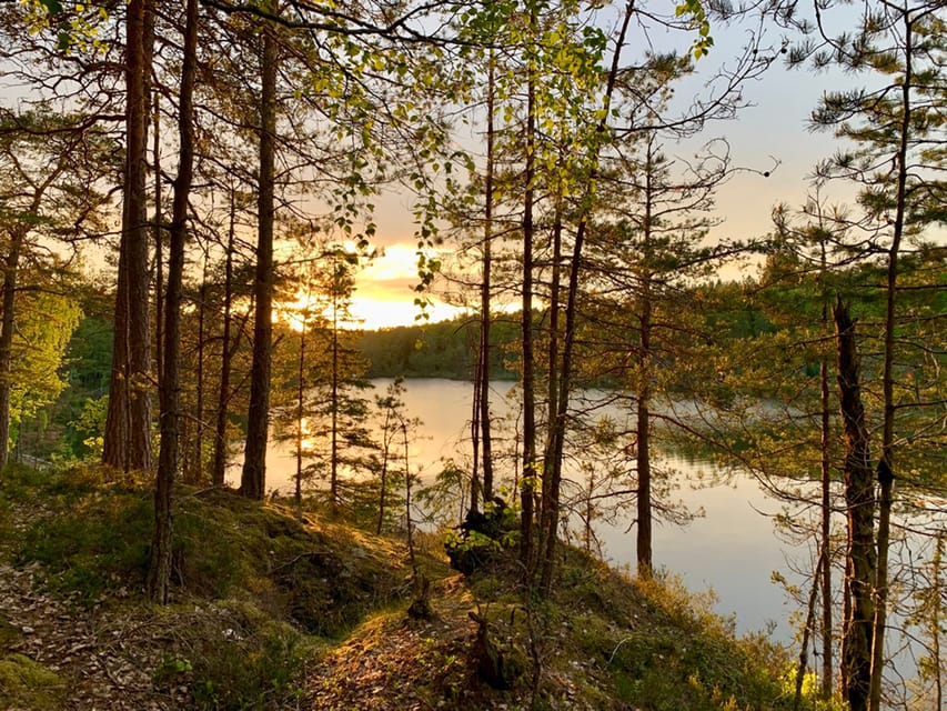 Stockholm: Sunset Hike in Tyresta National Park with Meal - Who this sunset hike suits best