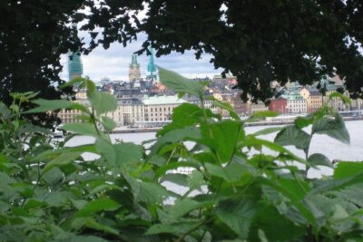Stockholm Top attractions all-inclusive Gran Tour - Drottningholm Palace and its royal “out-of-town” mood