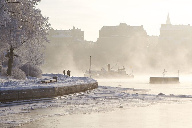 Stockholm Winter Boat Tour with Guide - Key Highlights at a Glance