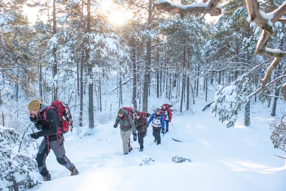 Stockholm: Winter Snowshoe Full-Day Hike - From central Stockholm to snowy forests in one day