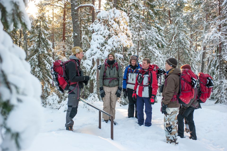 Stockholm: Winter Snowshoe Full-Day Hike - The hike itself: snow-covered forest, deer tracks, and winter wildlife talk