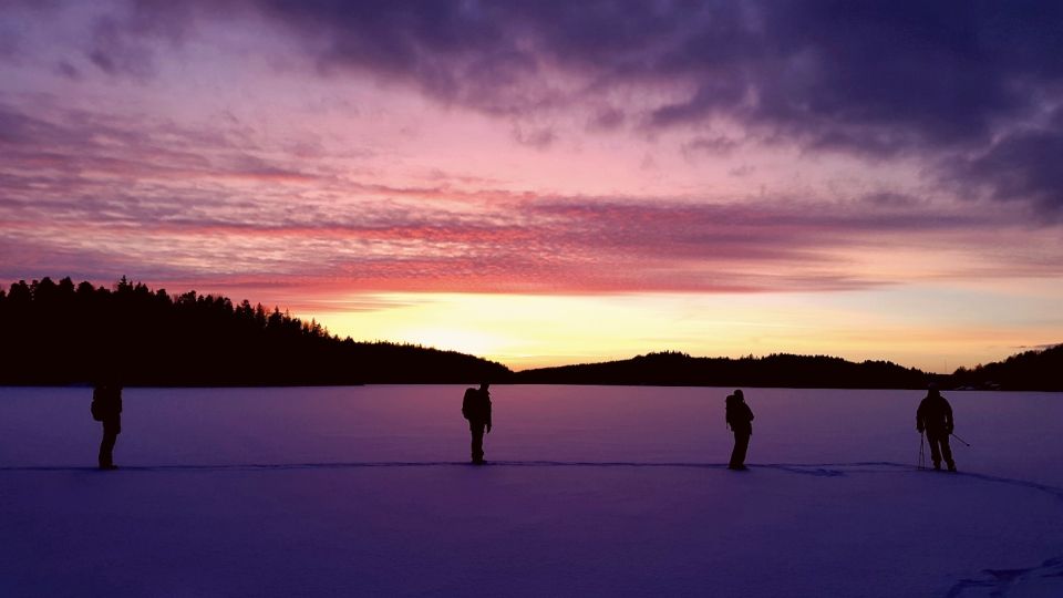 Stockholm: Winter Snowshoe Full-Day Hike - Frozen-lake sections: the moment that makes it feel special