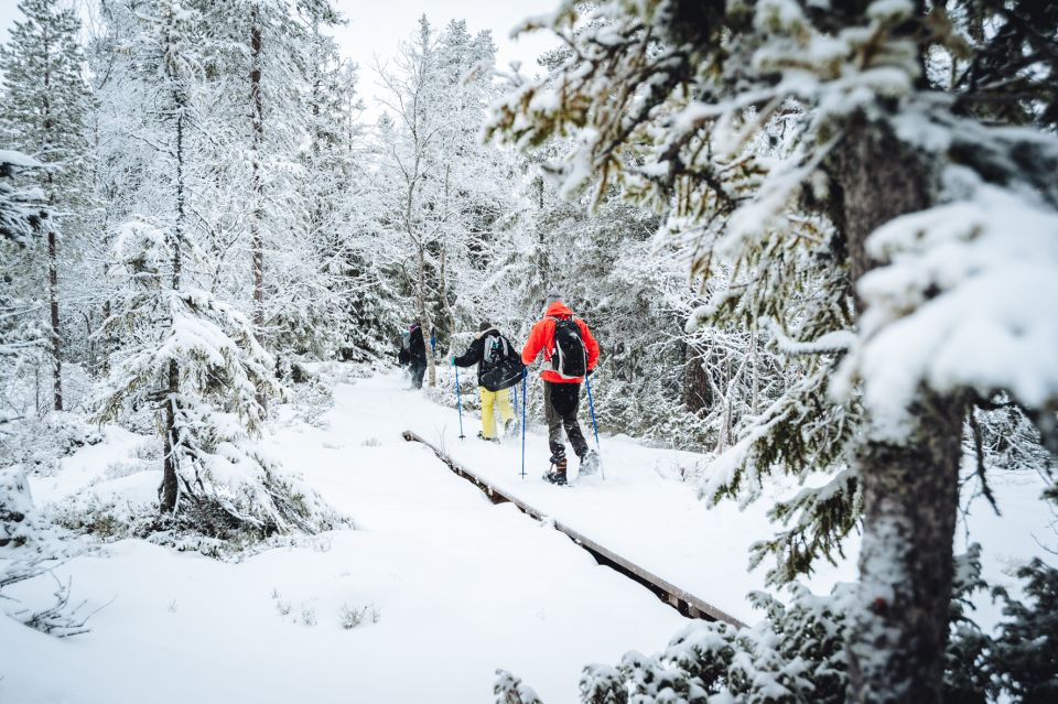 Stockholm: Winter Snowshoe Full-Day Hike - When snow is thin: snowshoes or ice grips