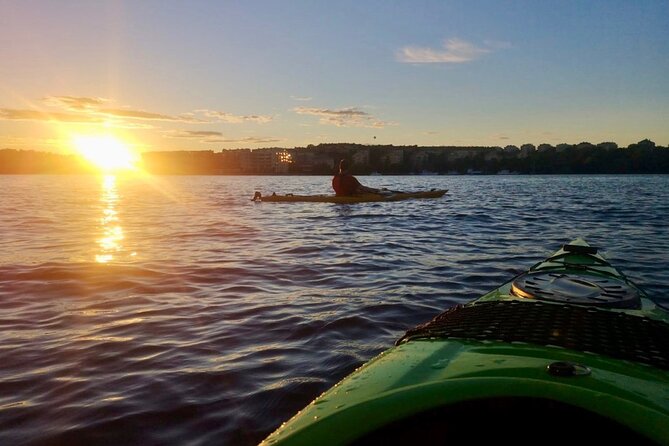 Sunset Kayak Tour in Central Stockholm and Swedish Fika - What to Bring (and the Toilet Reality)