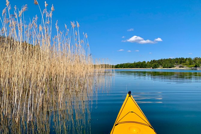 Sunset Kayak Tour in the Stockholm Archipelago + Swedish Fika - The Swedish picnic moment: why fika works so well here