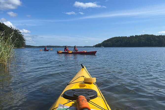 Sunset Kayak Tour in the Stockholm Archipelago + Swedish Fika - Group size and pacing: learning is easier with max 8