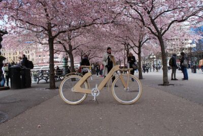 The Wooden Bicycle Tour in Stockholm - Small group size (max 15): the difference you’ll feel