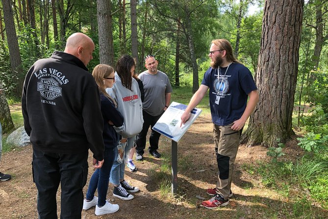 Viking History Small Group Tour from Stockholm: Half Day Including Sigtuna - How the Timing Works (and Why Lunch Is Your Choice)