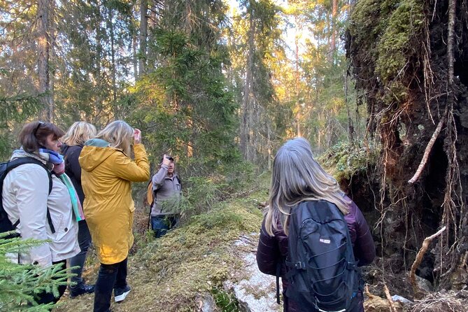 Wolf and Wildlife Tracking in Sweden - Key highlights you’ll feel on this wolf tracking day